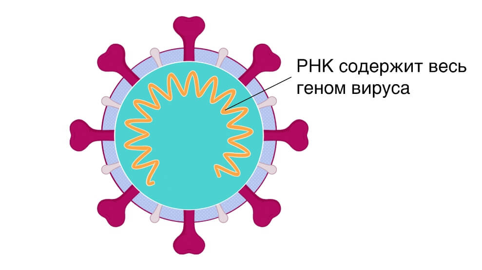 Кракен купить порошок