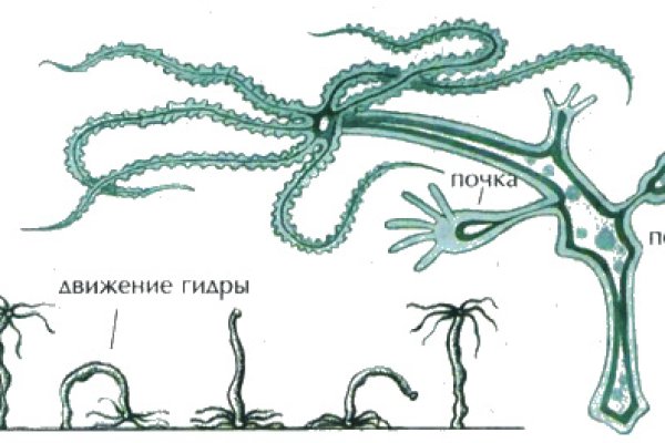 Kraken что это за магазин