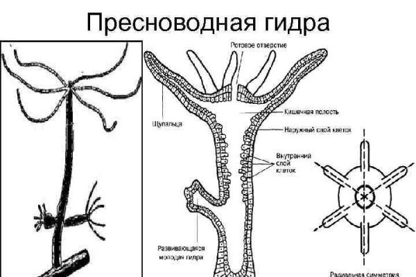 Кракен купить в москве порошок